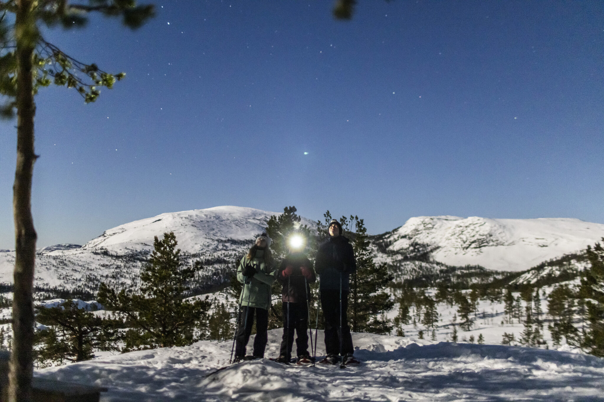 Stargazing ved Vrådal Panorama