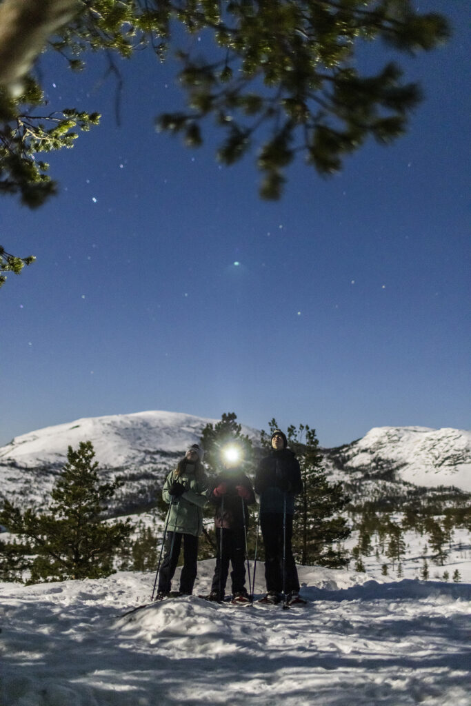 Stargazing ved Vrådal Panorama