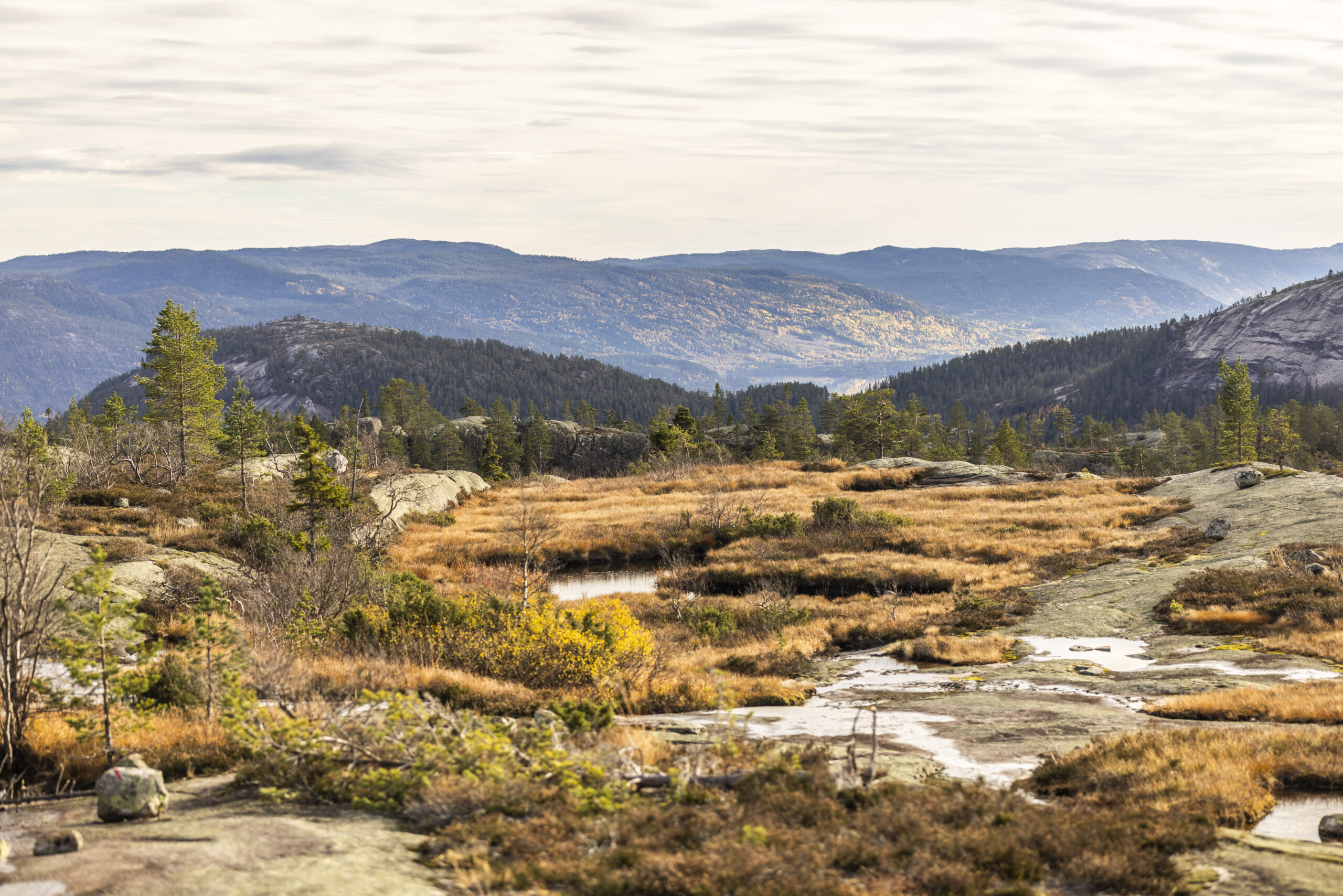 Vrådal_RAISFOTO_C2__0687, utsikt høst