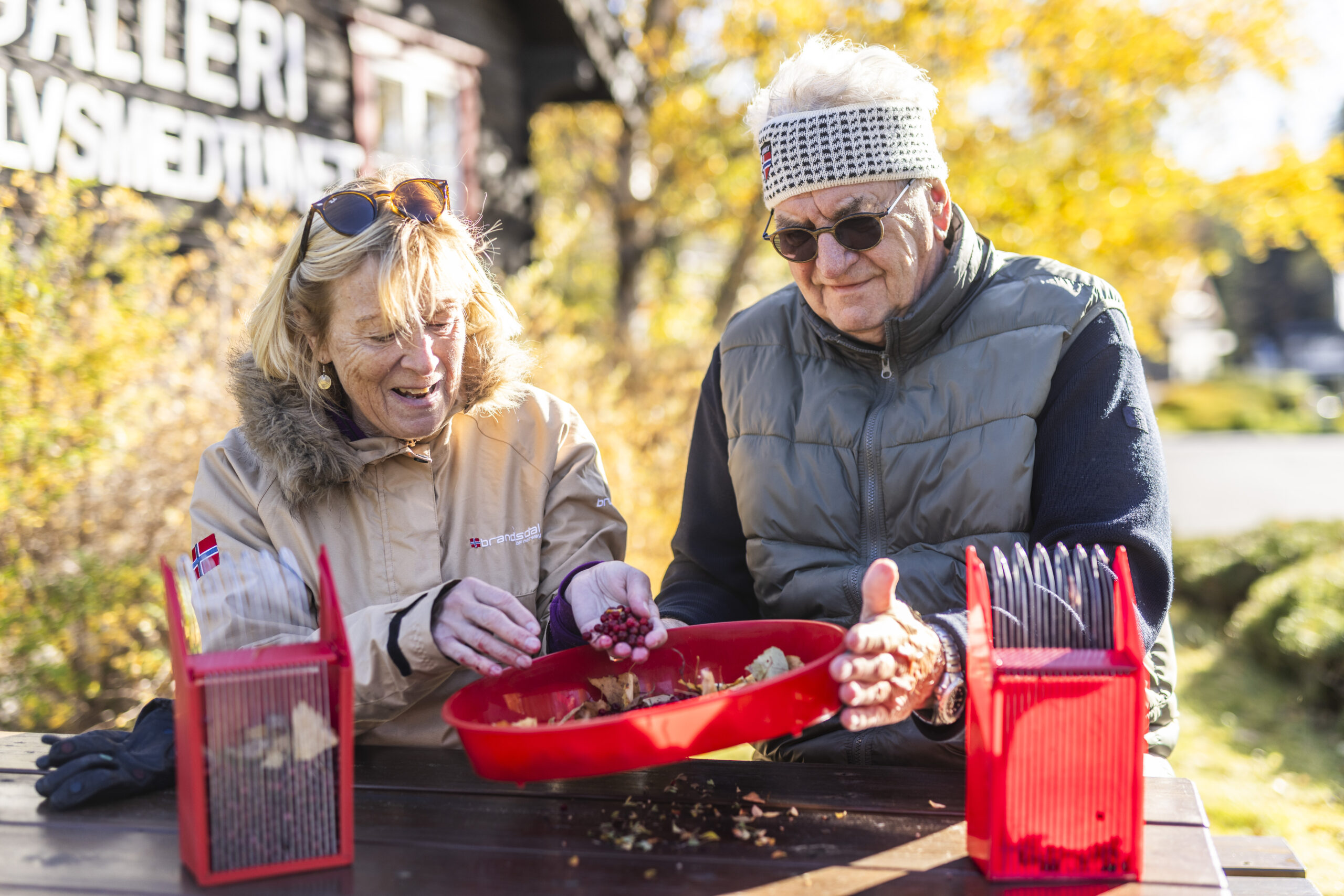 Vrådal_RAISFOTO_C2__4518, rensing av bær, høst