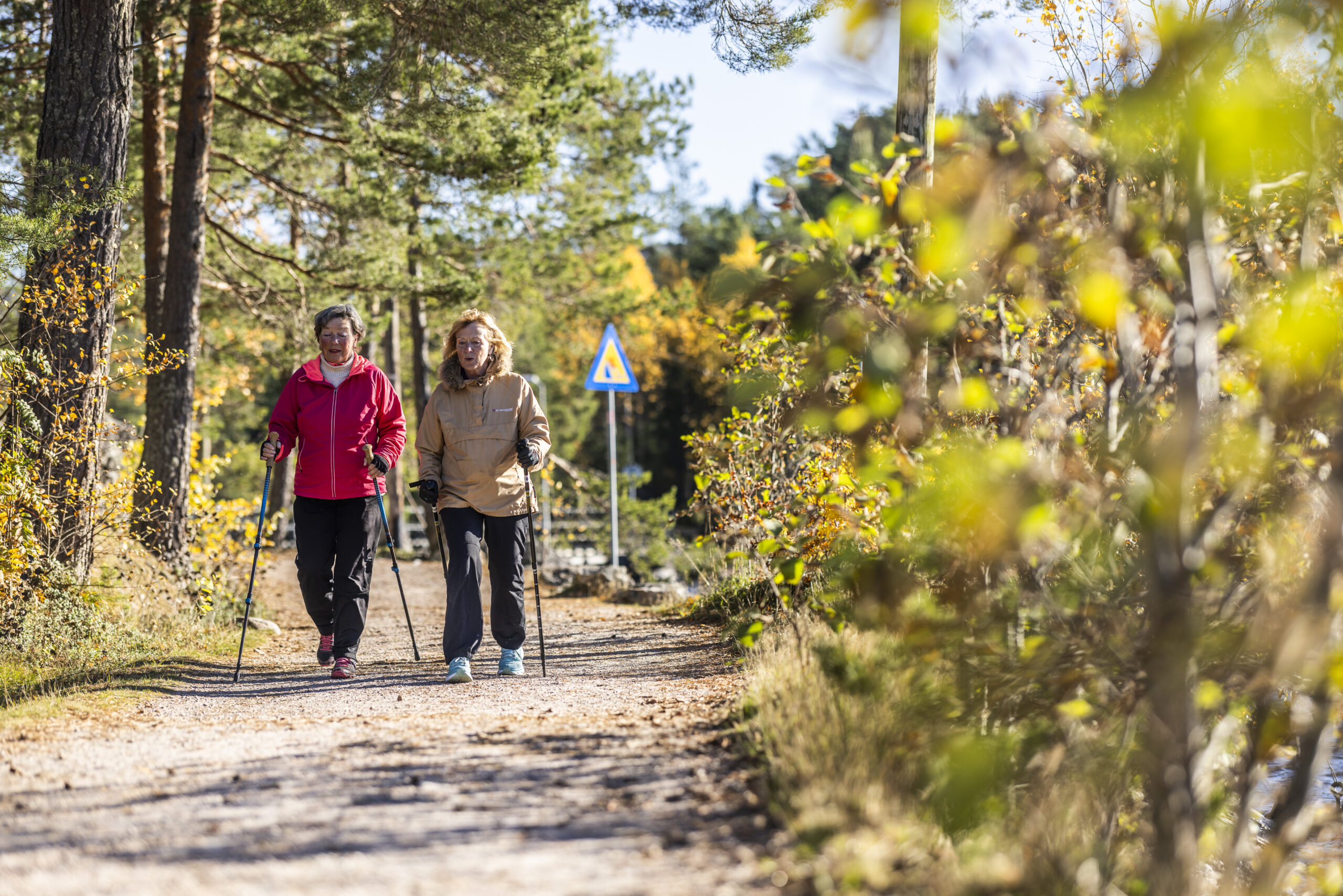 Vrådal_RAISFOTO_C2__4869, Nordic Walking, to damer, sti