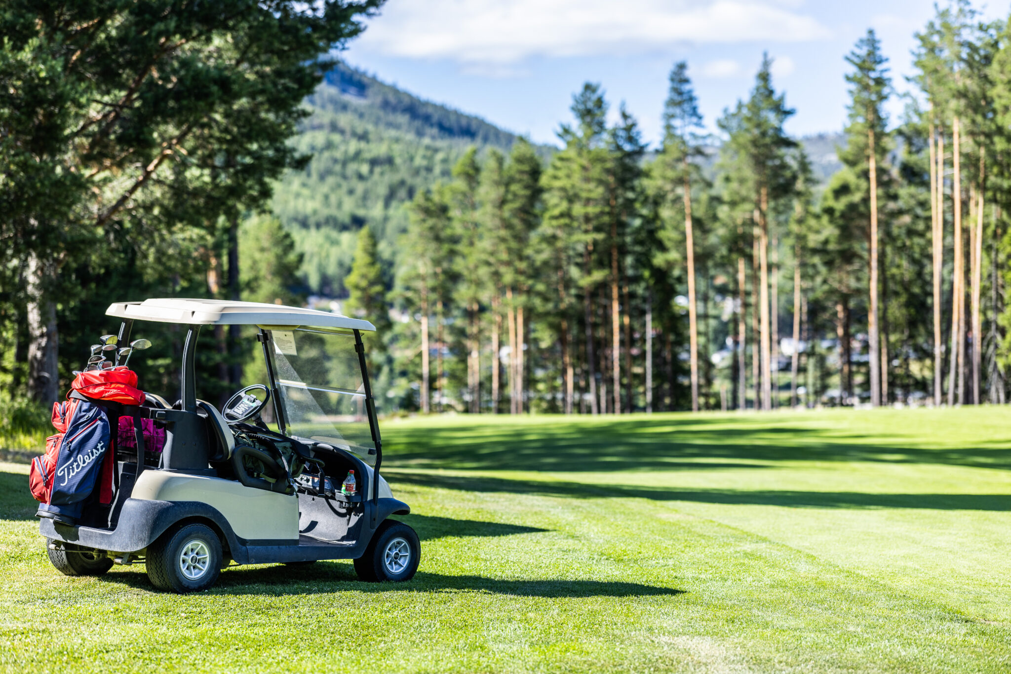 Golf cart parked on a sunny golf course with red and blue golf bags on the back.