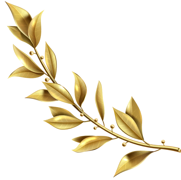 Golden laurel branch ornament with glossy leaves on a white background."],