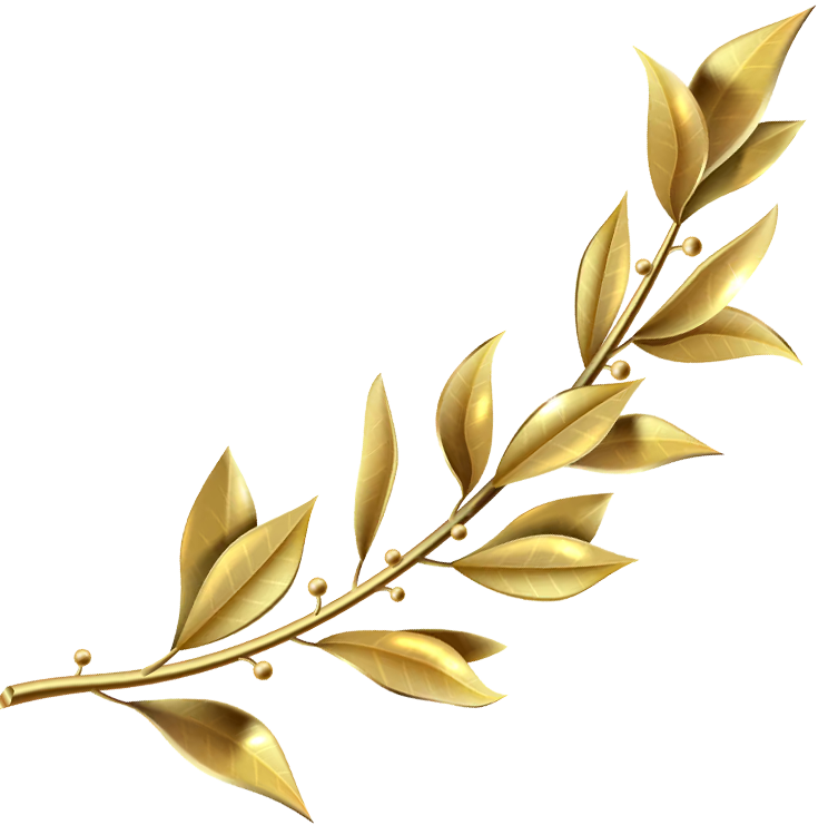 Golden laurel branch with glossy leaves and small round berries on a white background.