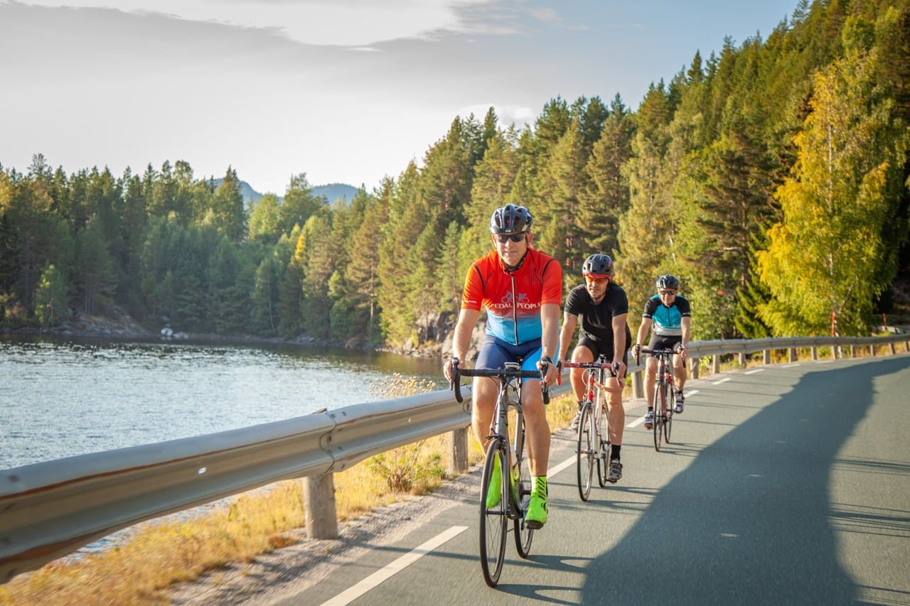Three cyclists ride along a lakeside road lined with trees, wearing helmets and colorful jerseys under a clear sky.