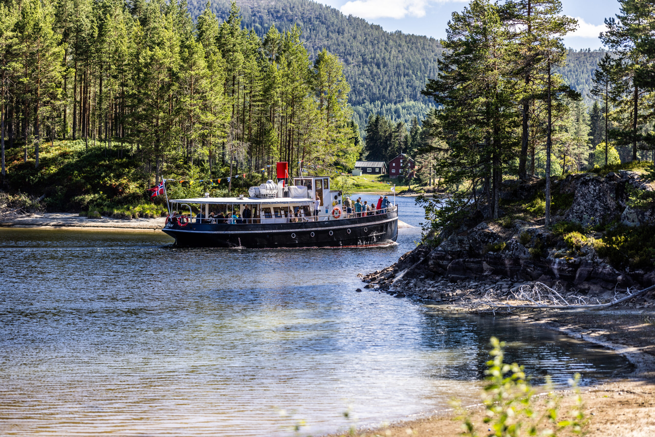 Tour boat with passengers on a calm lake, bordered by dense pine forest and distant mountains, flags fluttering.